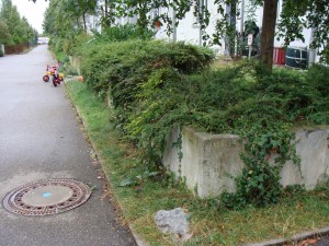 Gartenumgestaltung vorher Gartenumgestaltung vorher