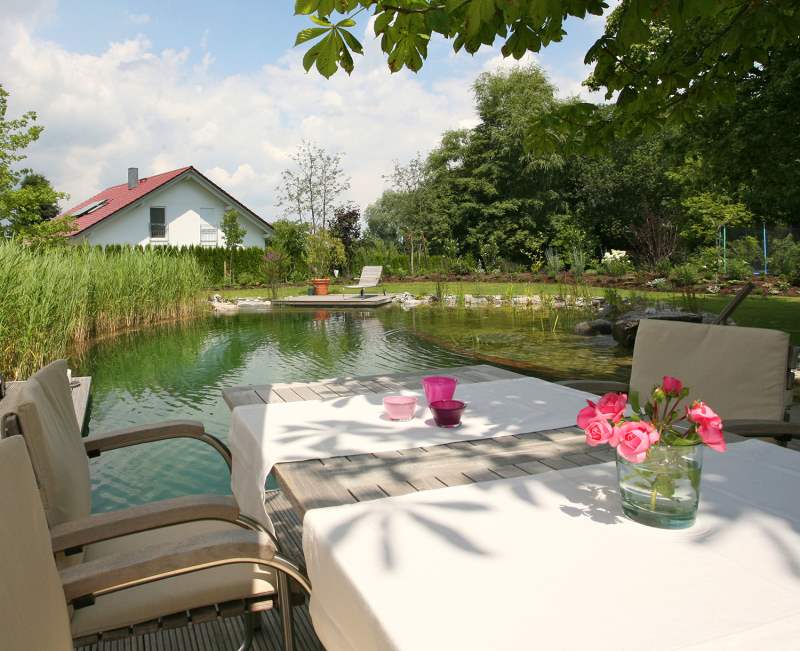 Schwimmen im Garten GartenSchaffen Ein Blog über den Garten